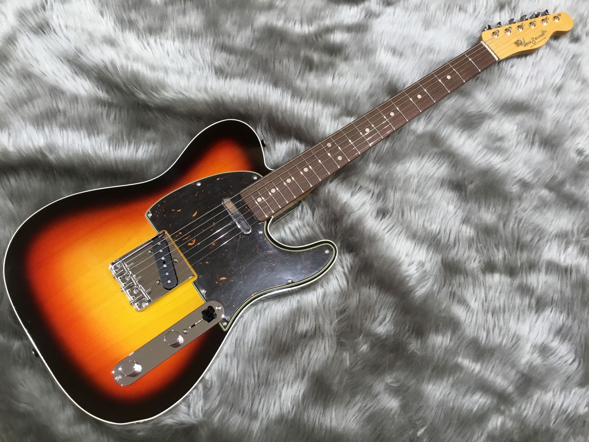 Vanzandt 】TLV-R2 Tortoise PG入荷しました！【USAピックアップ×国産