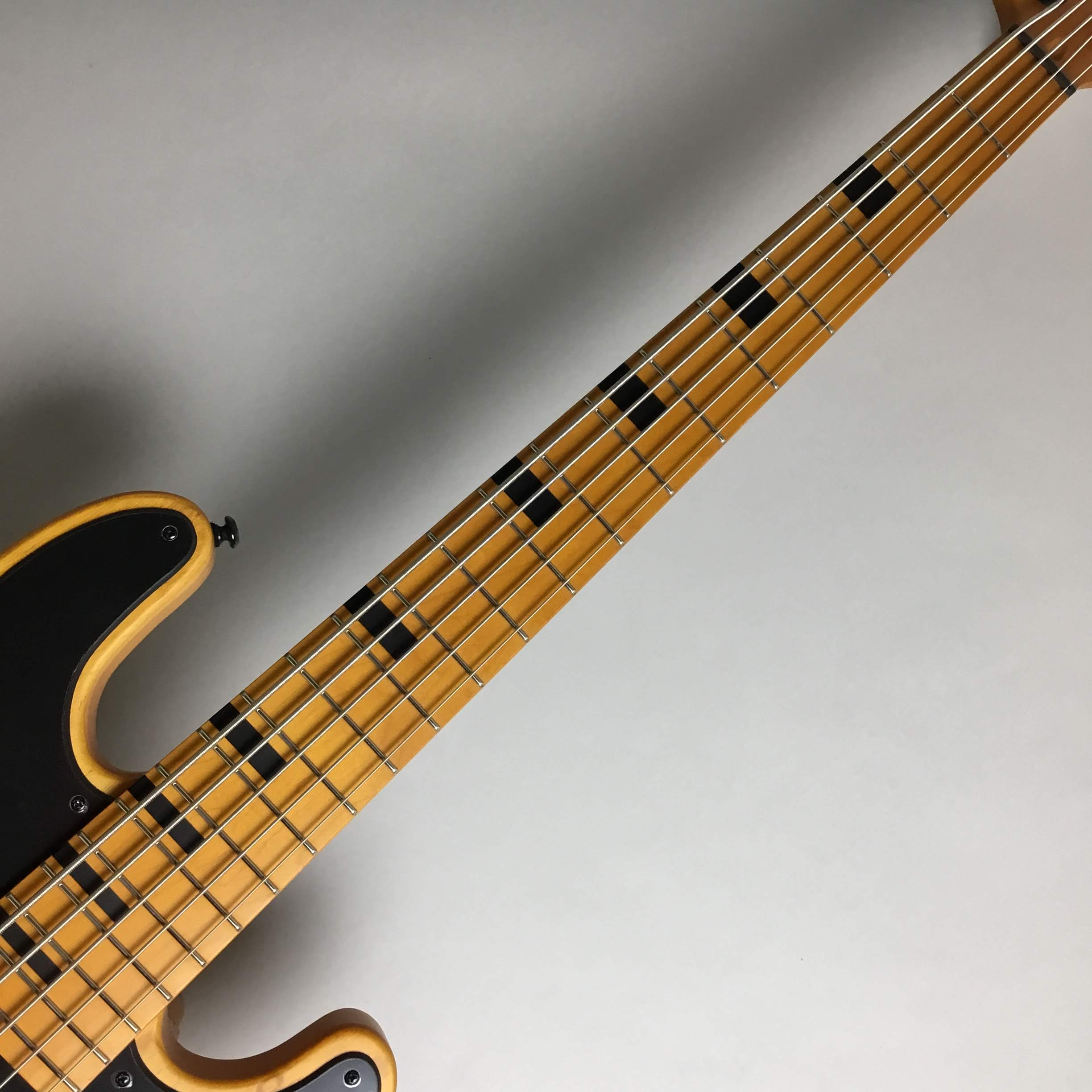 アウトレット】SCHECTER MODEL-T SESSION-5 メーカーアウトレット品