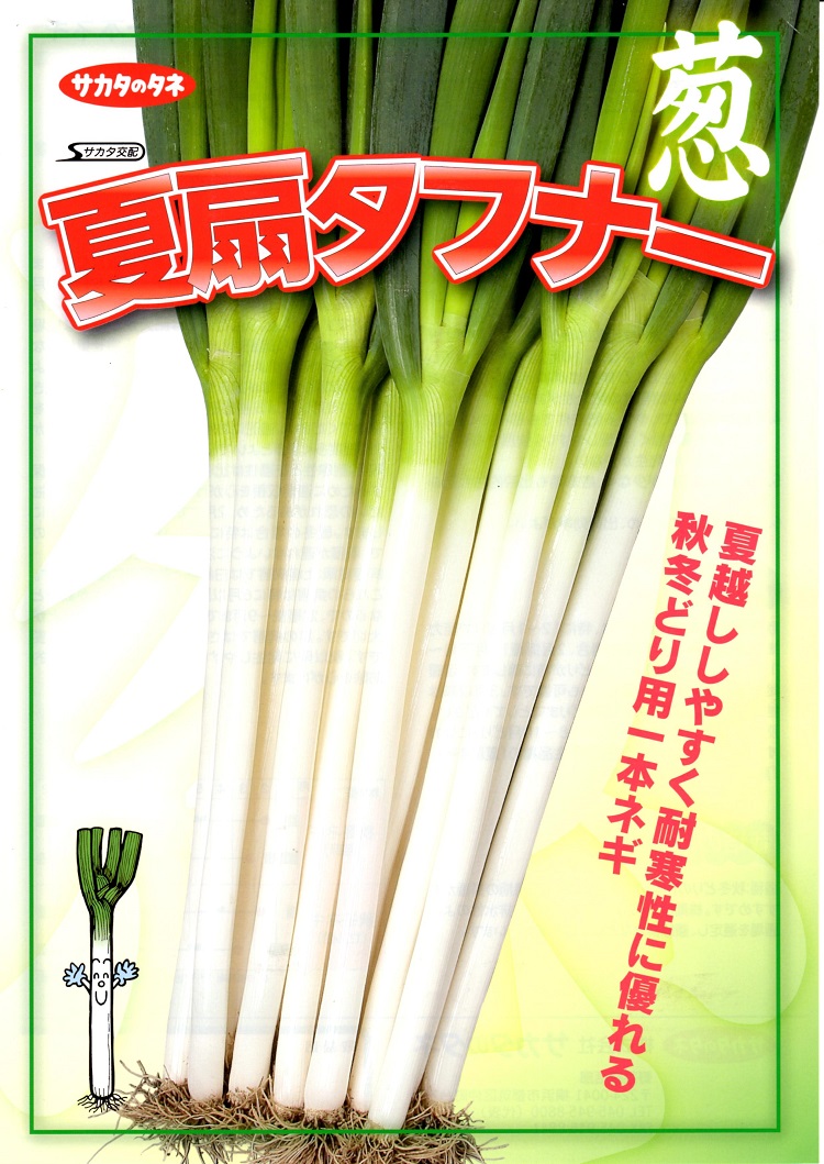 ねぎ種子】サカタ交配 「夏扇（なつおうぎ）」シリーズ『夏扇パワー