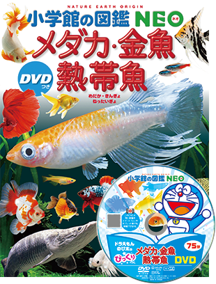 図鑑NEO | 小学館の図鑑NEOシリーズ | 小学館