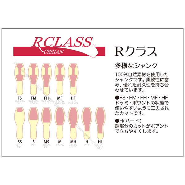 Rクラス トウシューズ SL-L ルミナ W2(標準幅)FS(ﾌﾚｷｼﾌﾞﾙｿﾌﾄ)※受注生産