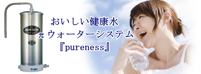πウォーター パイウォーター 浄水器 pureness ピュアネス π802型 業務