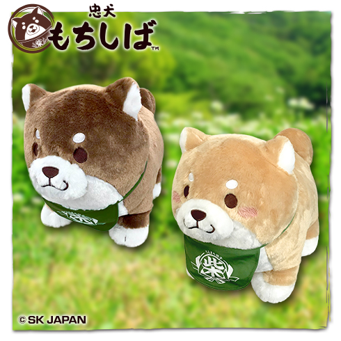 忠犬もちしばスクっとBIGぬいぐるみ3 プライズの情報サイト キャラとる