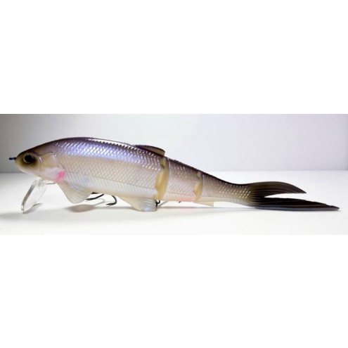 Baum Fishing Japan