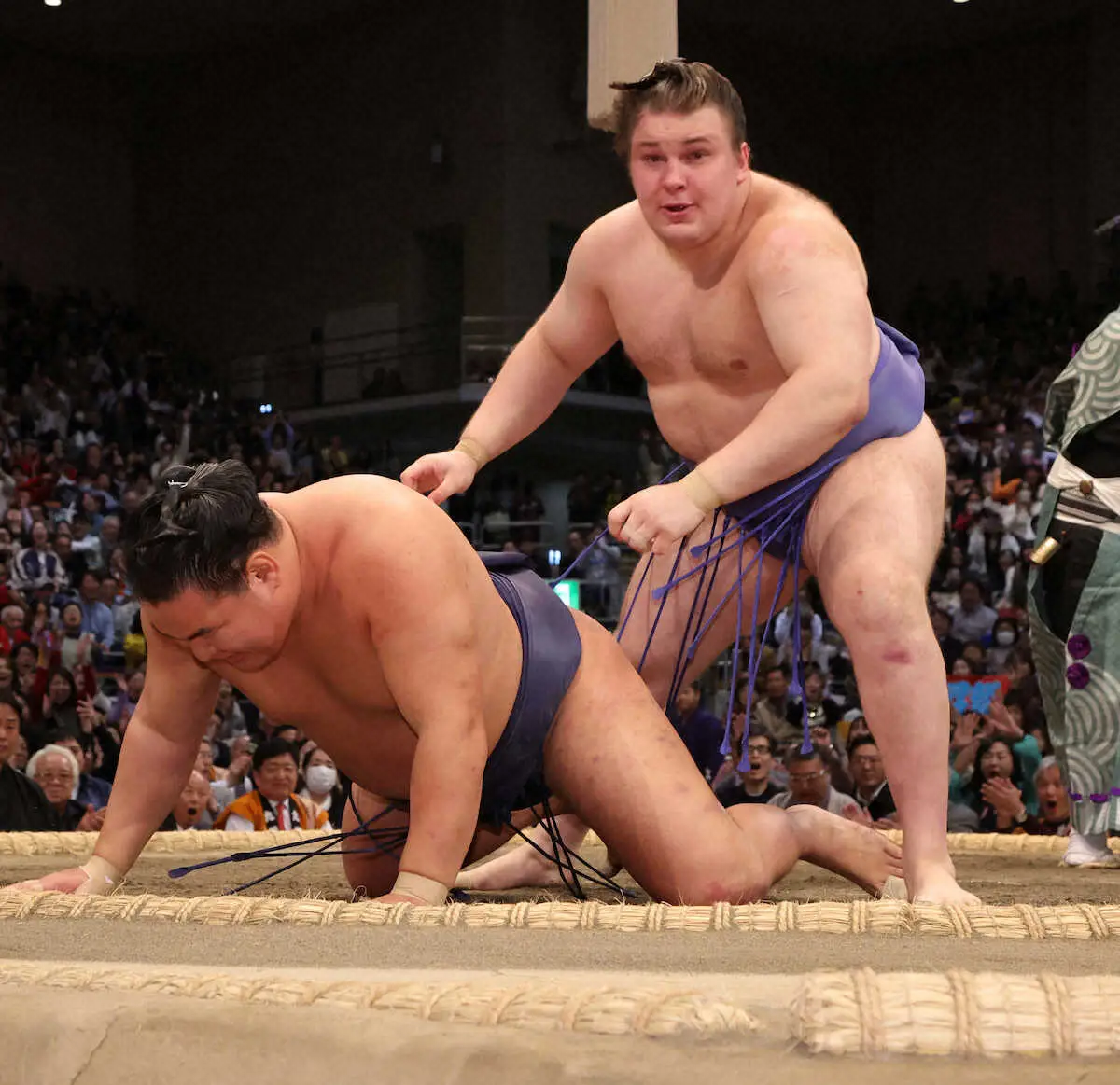 九州場所の優勝決定戦で豊昇龍（左）を破る安青錦 - スポニチ Sponichi