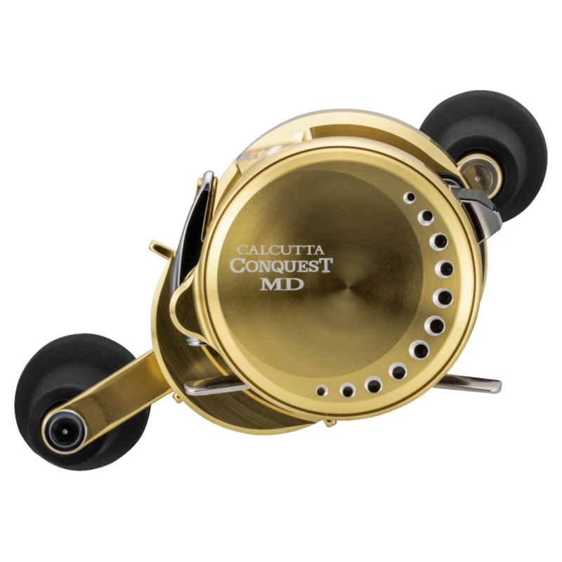 Shimano Calcutta Conquest MD 301XGLH | Sportfishtackle.com