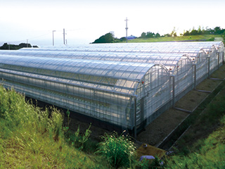 花野果®蒼天UVロング | 農PO | 農業材 | 製品情報 | 住化積水フィルム