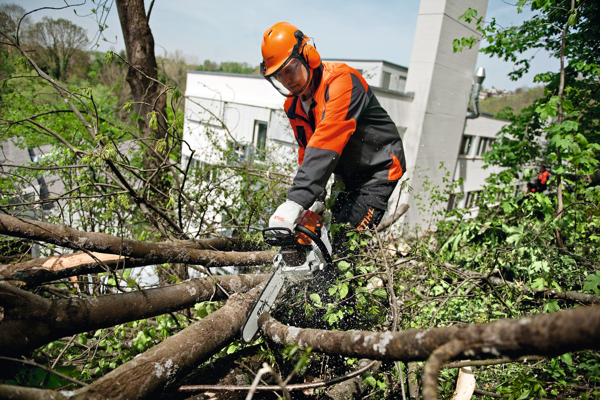 MS 261 ハイグレードなプロフェッショナルモデル | STIHL