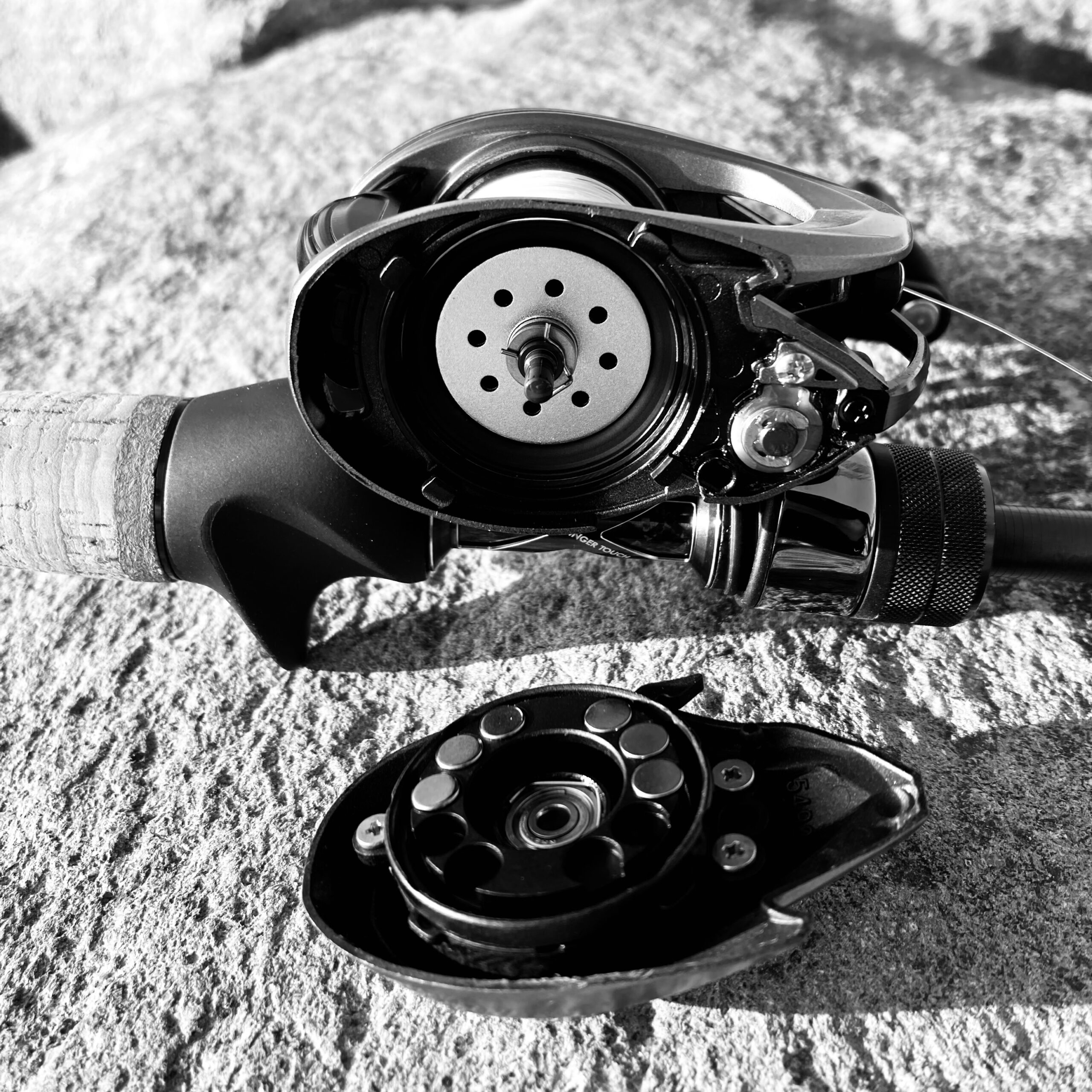 ZENON Mg BF Spool で決まり！ | SALT AND SAND