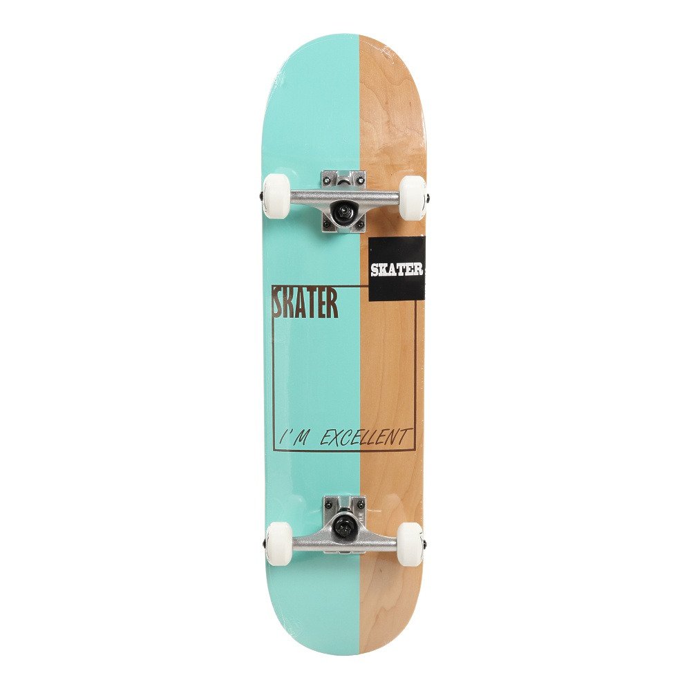 スケーター（SKATER）（メンズ、レディース）スケートボード スケボー