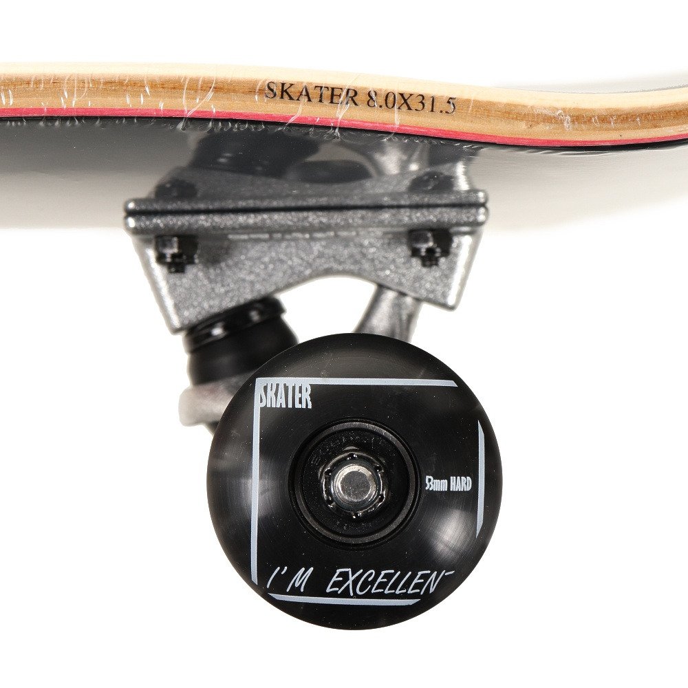 スケーター（SKATER）（メンズ、レディース）スケートボード スケボー