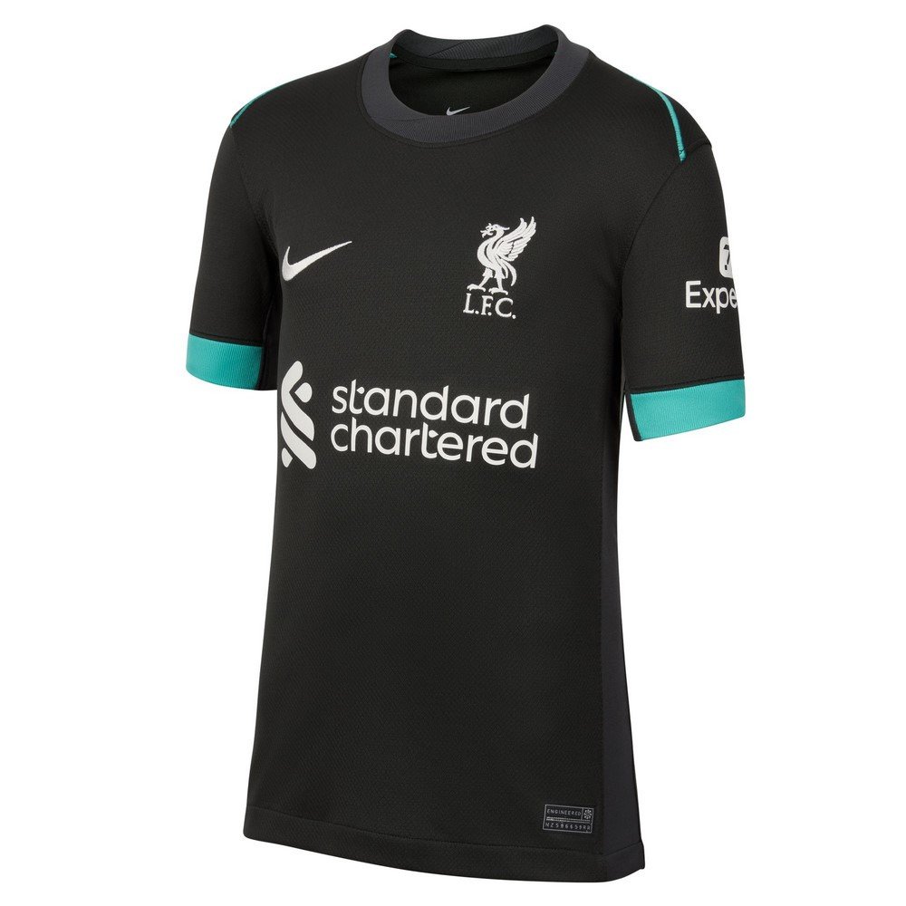 ナイキ（NIKE）（キッズ）ジュニア サッカー レプリカ ユニフォーム リ