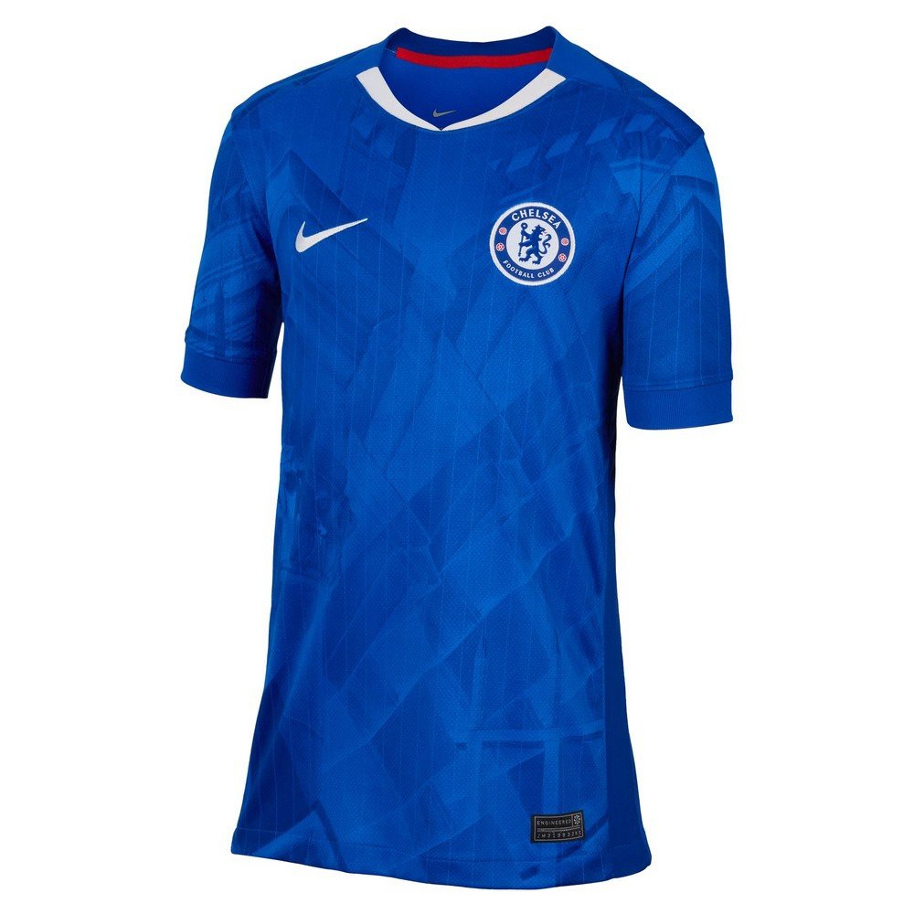 ナイキ（NIKE）（キッズ）ジュニア チェルシーFC ドライフィット