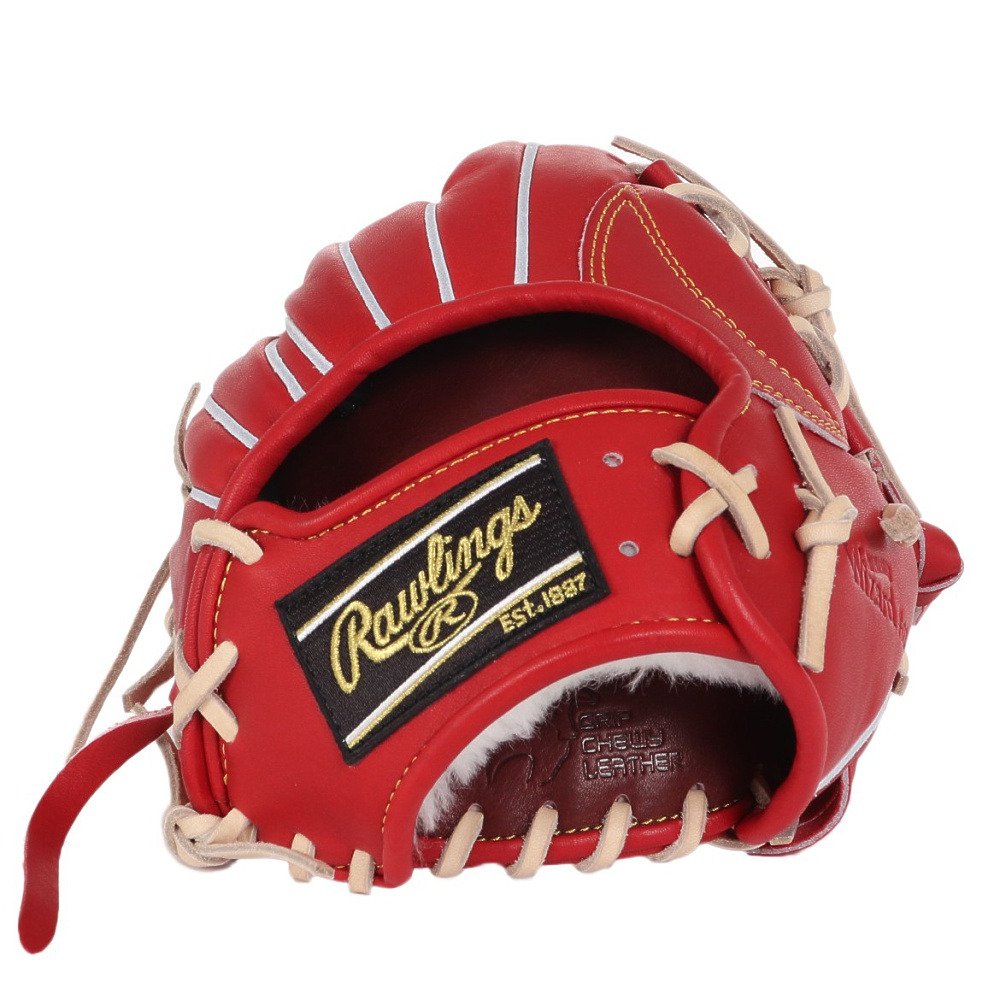 Rawlings 硬式グローブ 黒/赤/金 GLOVE COLLECTION 2024