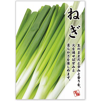 A3ポスター ねぎ: タイトルポップ｜販促物・販促通販の【POP GALLERY
