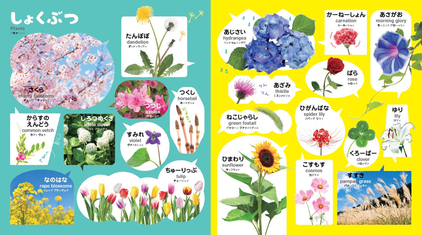 0・1・2さいの ことばずかん500 英語つき｜あかちゃんのずかん