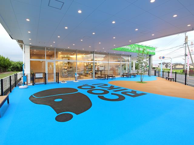 佐賀神埼店のご案内 | 神埼市神埼町姉川 | ペットショップCoo&RIKU