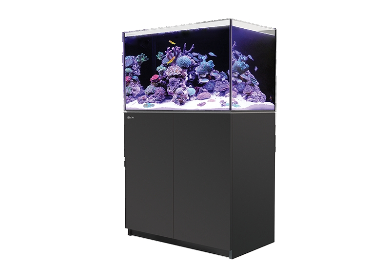 飼育用品・器具】【大型商品送料別途】【お取り寄せ】Reefer G2 250