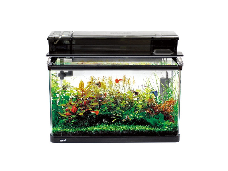 飼育用品・器具】【水槽】GEX ラピレスRV60GT LEDセット(淡水 海水用