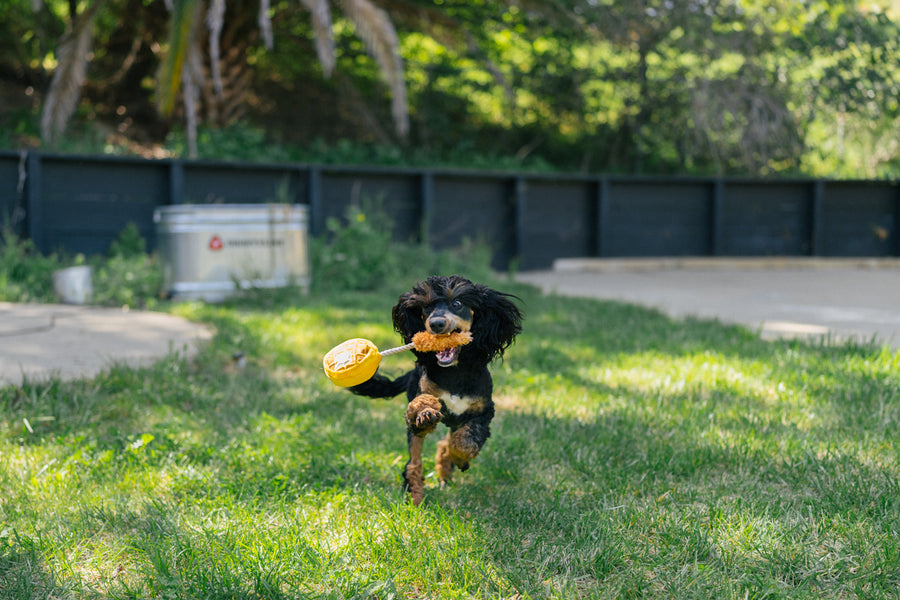 Chicken and Woofles: Squeaky Toy by P.L.A.Y.