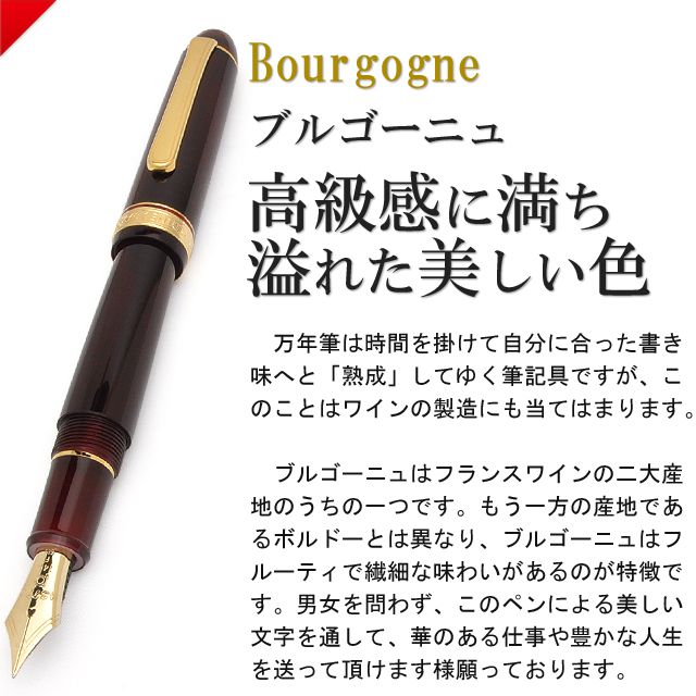 PLATINUM プラチナ万年筆 ＃3776 センチュリー 万年筆 ブルゴーニュ