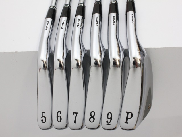 Personal LIMITED EDITION エポン(EPON) アイアンセット(IRON