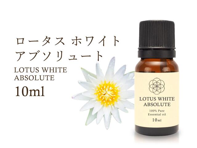 ◇ロータスホワイト アブソリュート エッセンシャルオイル 【聖なる花