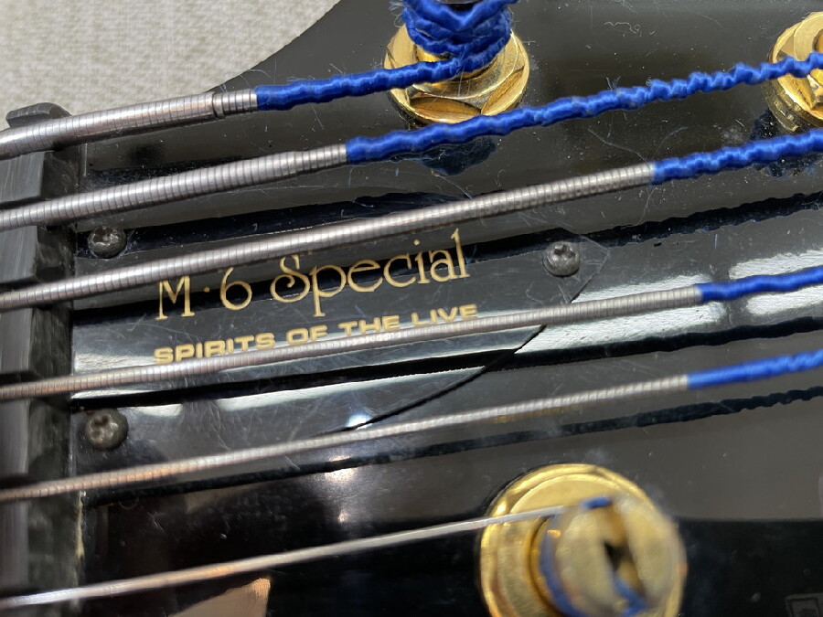 Greco M-6170 M-6special 入荷しました。｜2024年09月12日｜静岡県の