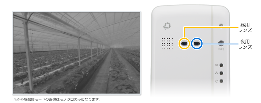 カメラ一発！｜CS-W60HD｜PLANEX