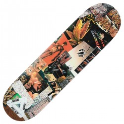 PALACE Skateboards 