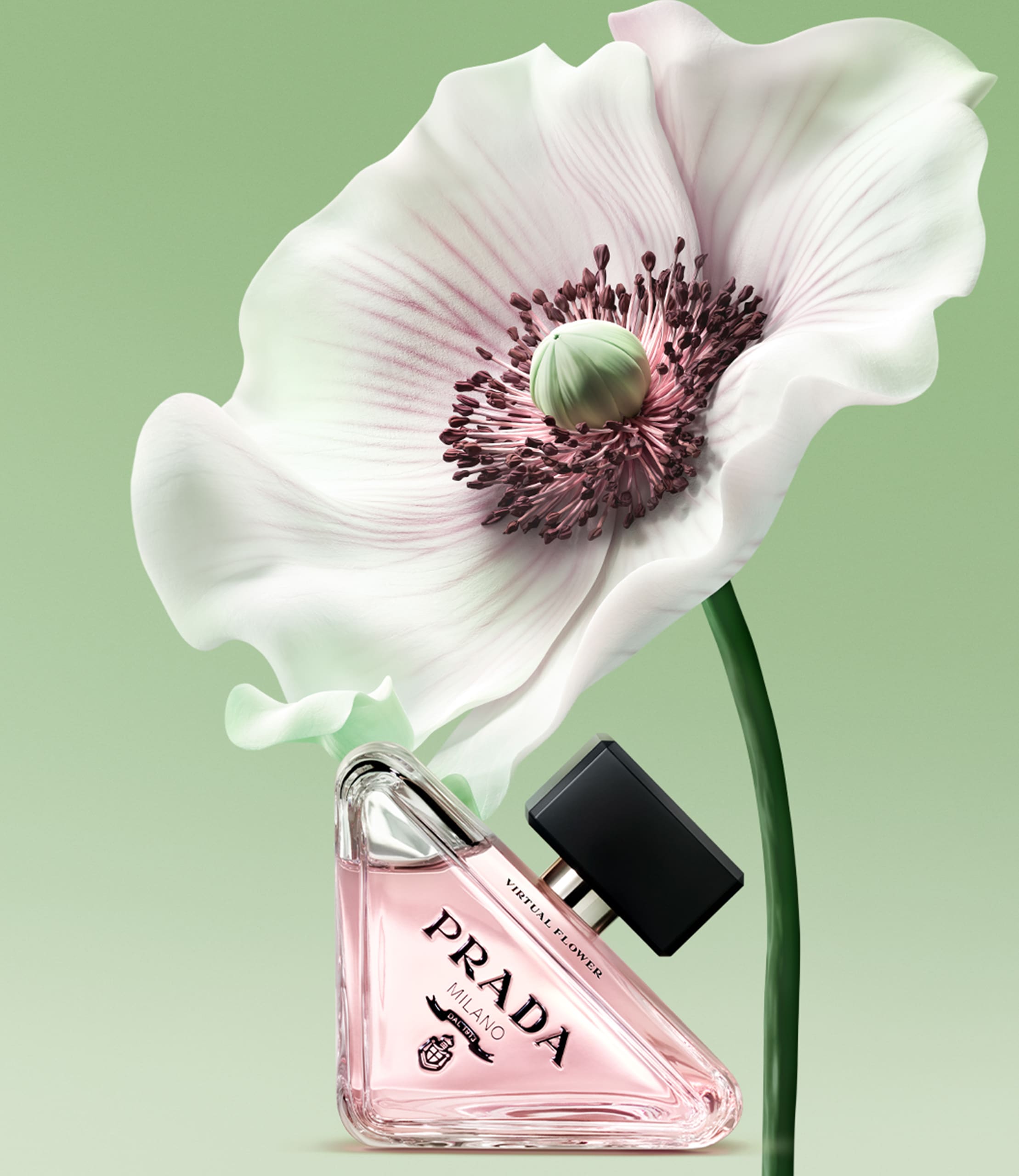 パラドックス | プラダ公式オンラインストア | PRADA