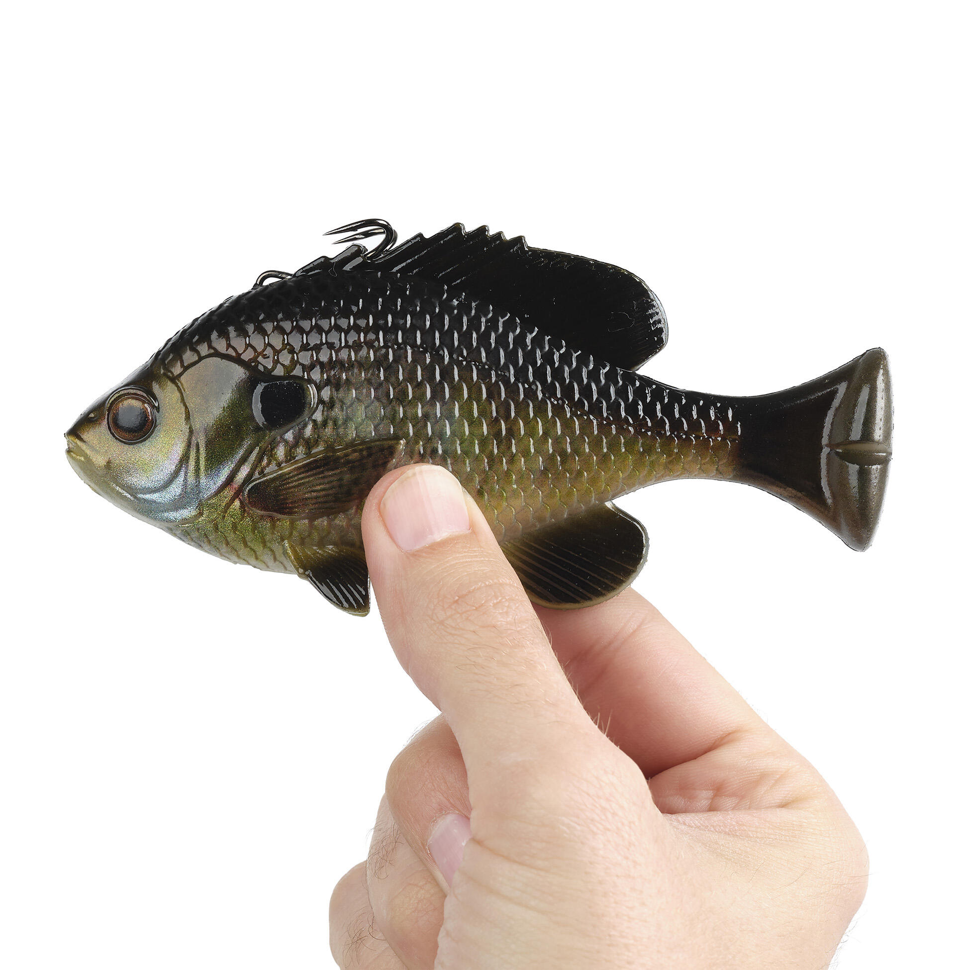 3D LT Pulse Tail Bluegill MS（3D LTパルステールブルーギルMS