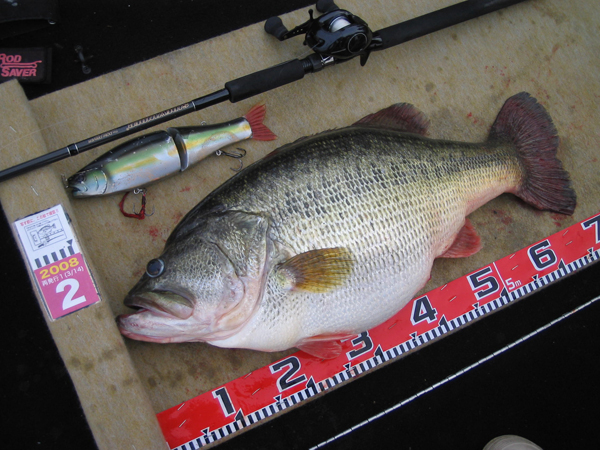 NATURAL MATERIAL - RomanMade【ロマンメイド】