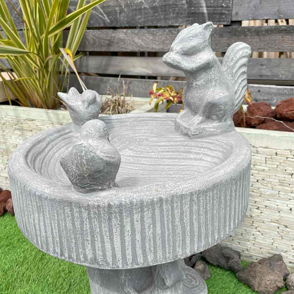 楽天市場】【ポイントUP アジアン バリ】 バードバス リス 小鳥