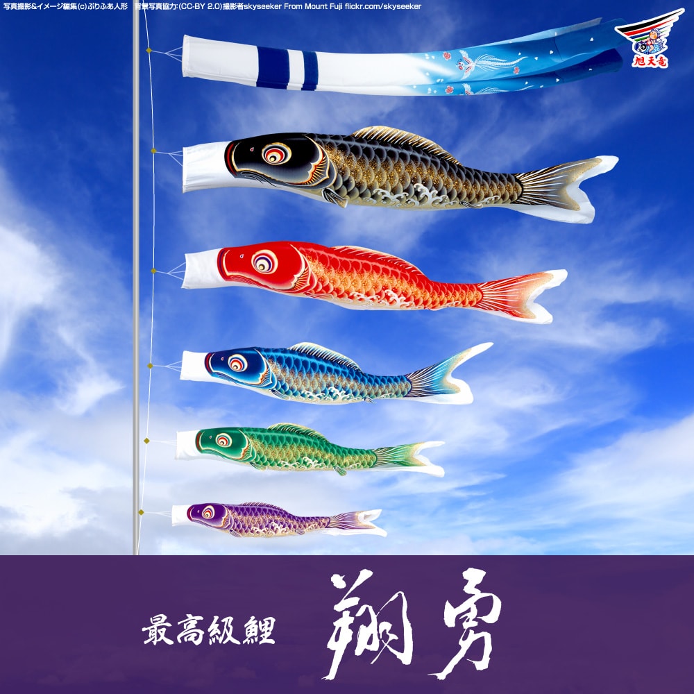 鯉のぼり 旭天竜 翔勇鯉 | prefer