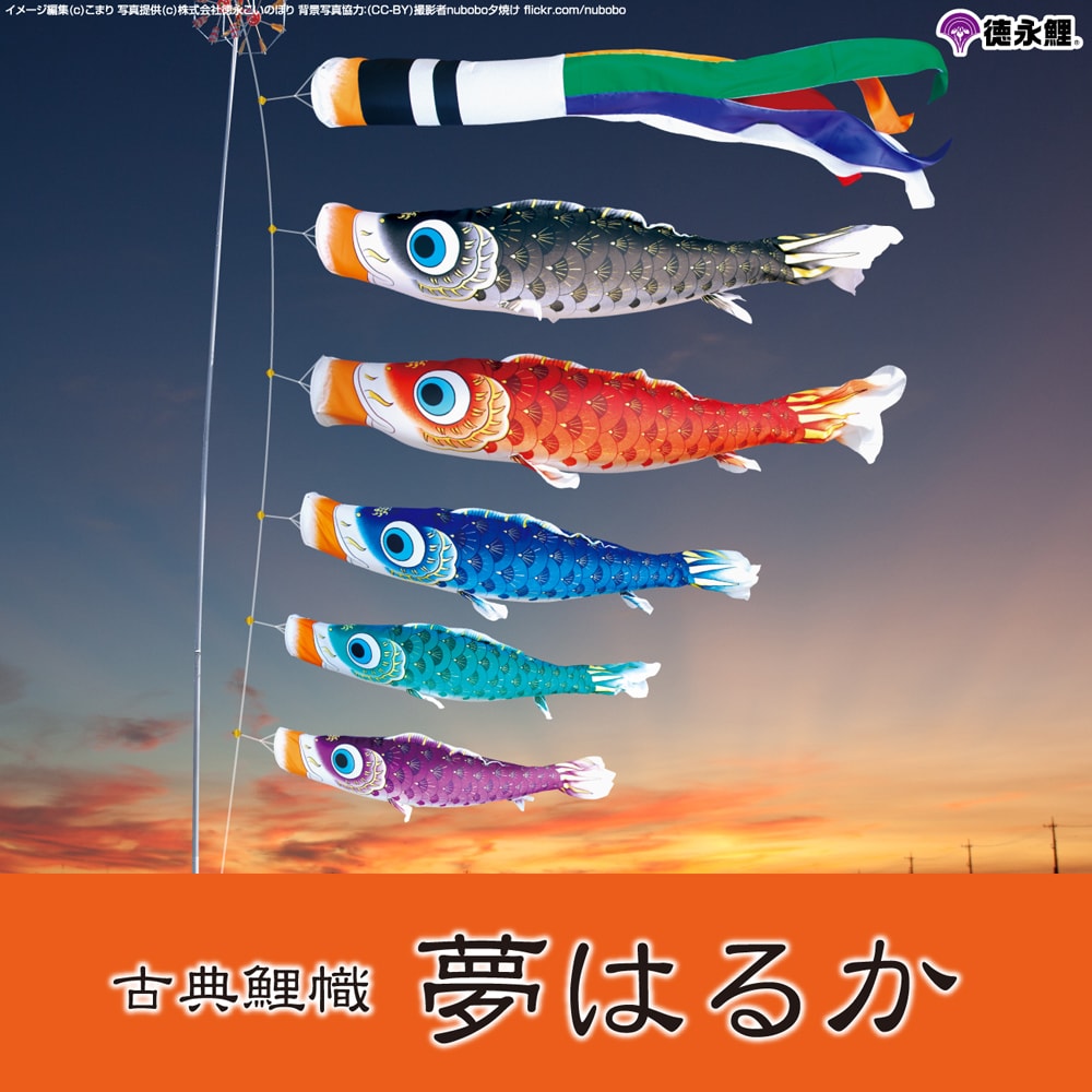 徳永こいのぼり 夢はるか | 鯉のぼりの事なら節句専門店prefer