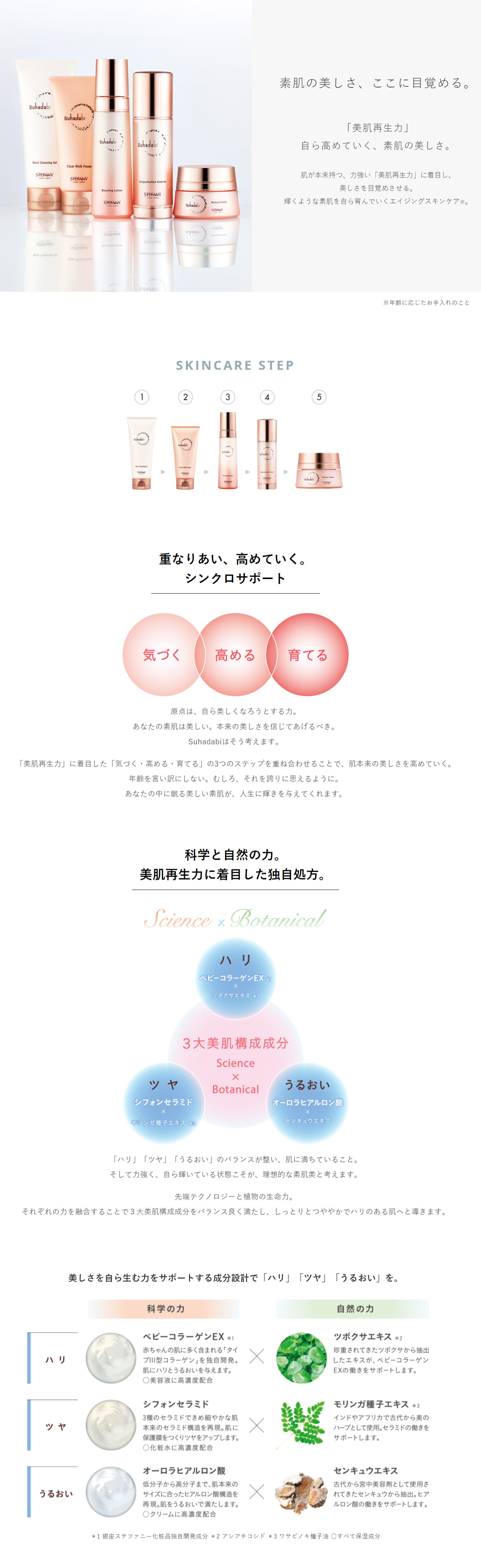 楽天市場】【ポイント10倍 2/19 20:00～2/23 01:59】【公式】Suhadabi