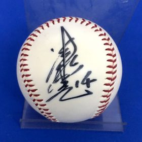 CARP 津田選手直筆サイン入り野球ボール 2026年最新】津田恒実 サイン