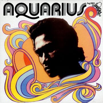 Herman Chin Loy - Aquarius Dub(LP レコード) - レゲエレコード