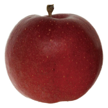 ネロ26号 - りんご大学