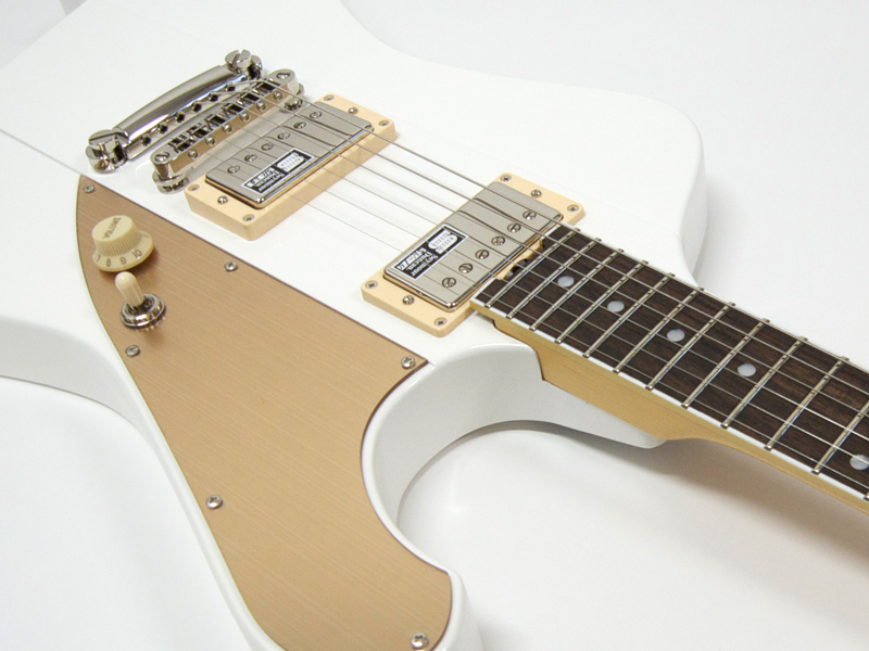 EDWARDS エドワーズ E-Cygnus【Leda モデル 】 送料無料! | ワタナベ