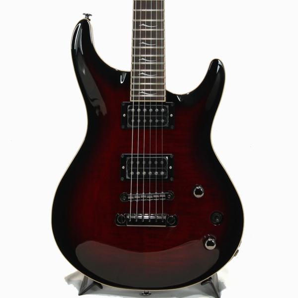 FgN フジゲン EEL(Expert ELAN)-FM / BCS(Black Cherry Sunburst