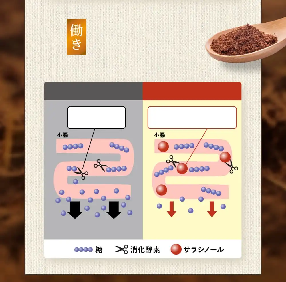 公式】バナバ＆サラシアの恵み│和漢の森