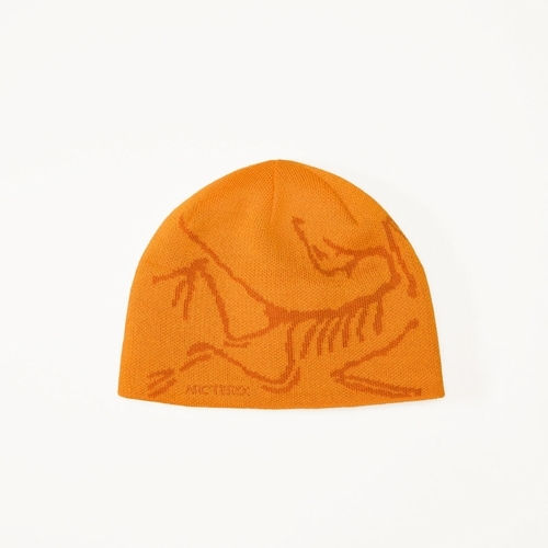Bird Head Toque （バード ヘッド トーク）ARC`TERYX（アークテリクス