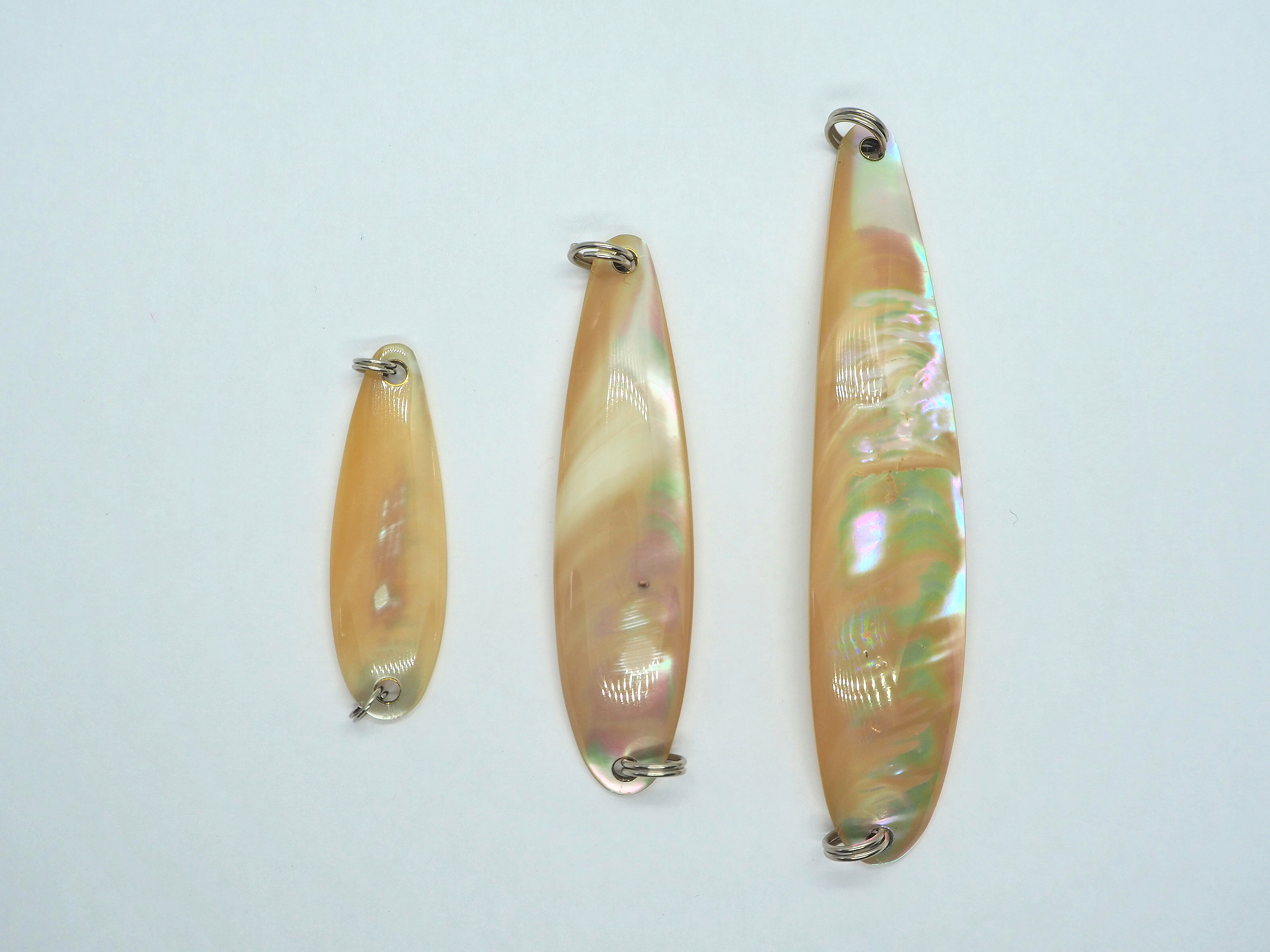 白蝶貝 - WISE CUSTOM