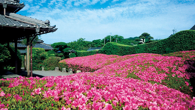 知覧武家屋敷庭園 - 鹿児島観光コンシェルジュ