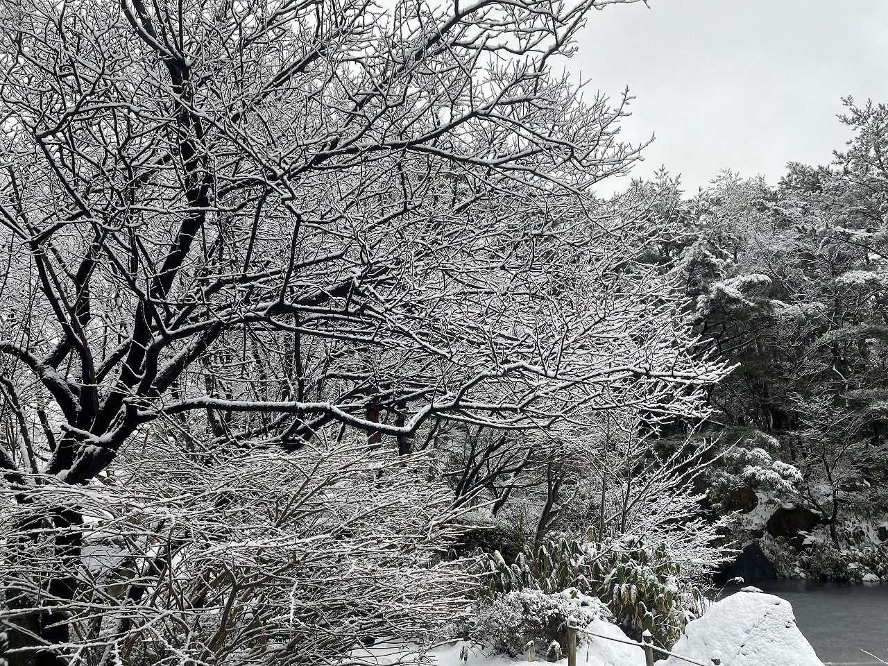一面雪景色 | 園内の見どころ