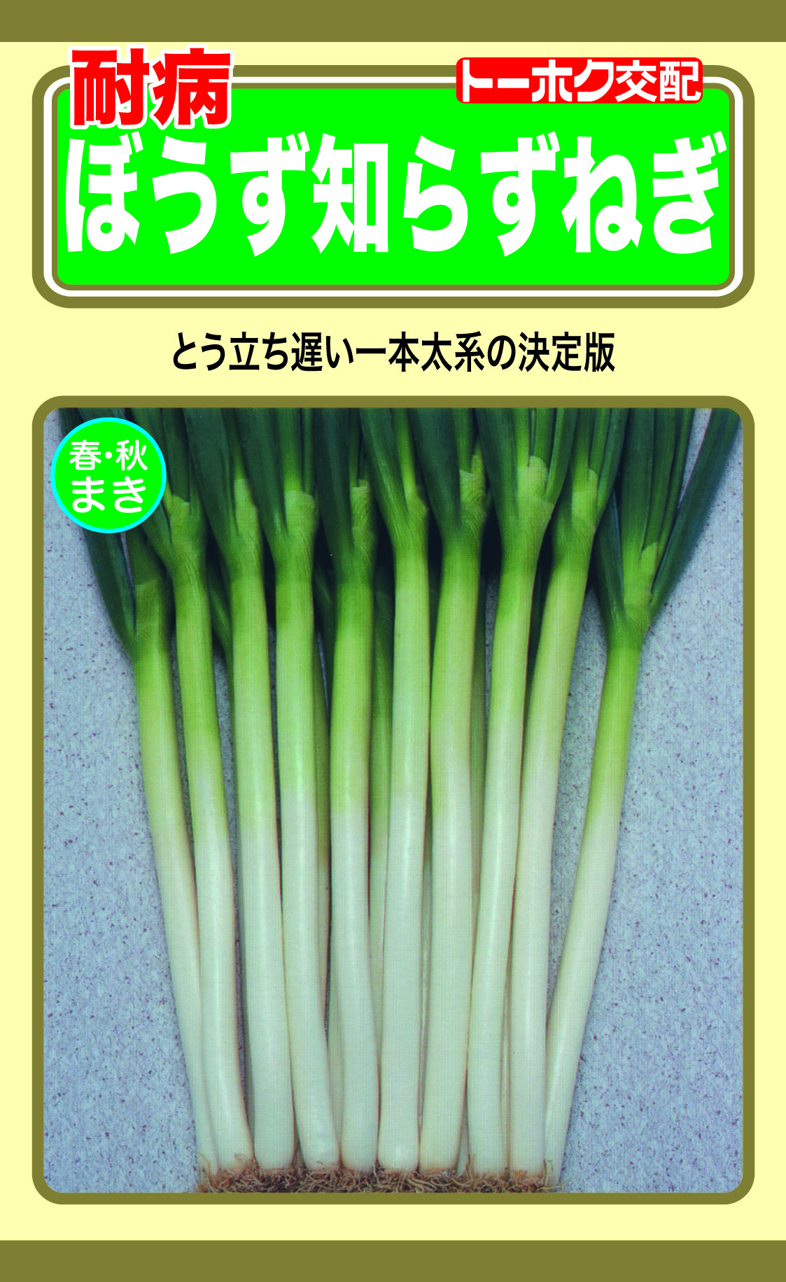 耐病ぼうず知らずねぎ | 野菜のタネ | 株式会社トーホク