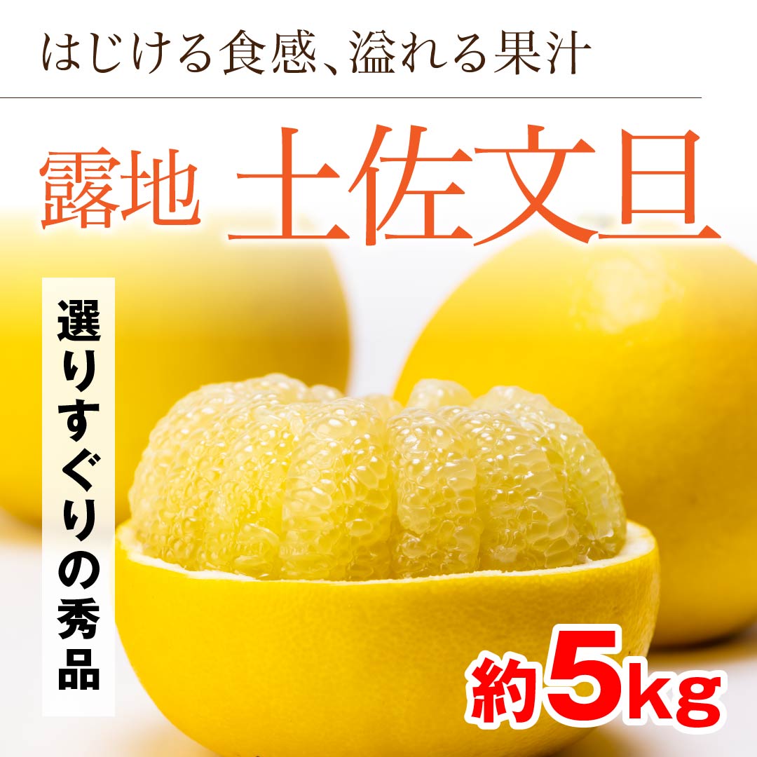 疑似餌小25本中25本 土佐丹吉 更に大特価 疑似餌