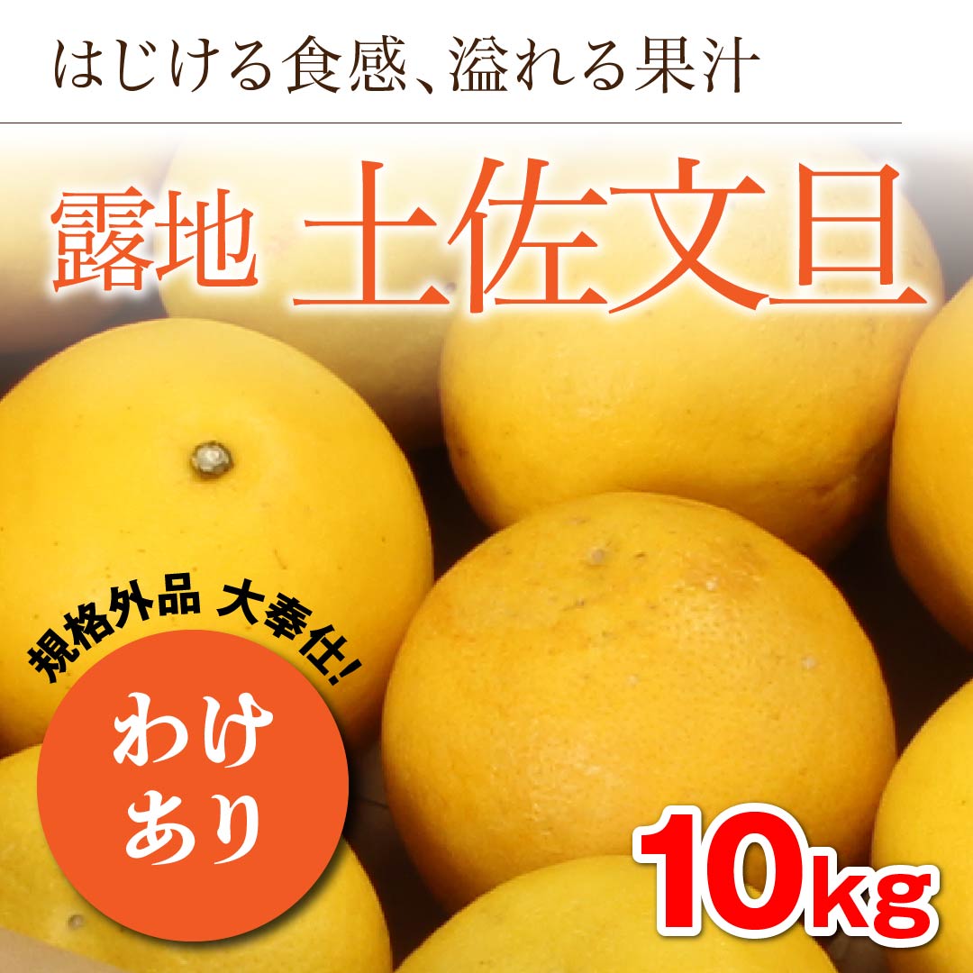こみかん みかんページ みかんページ ミカン様 ミカン様 蜜柑様